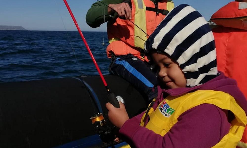Yellowtail fish caught on a Cape Town fishing charter trip